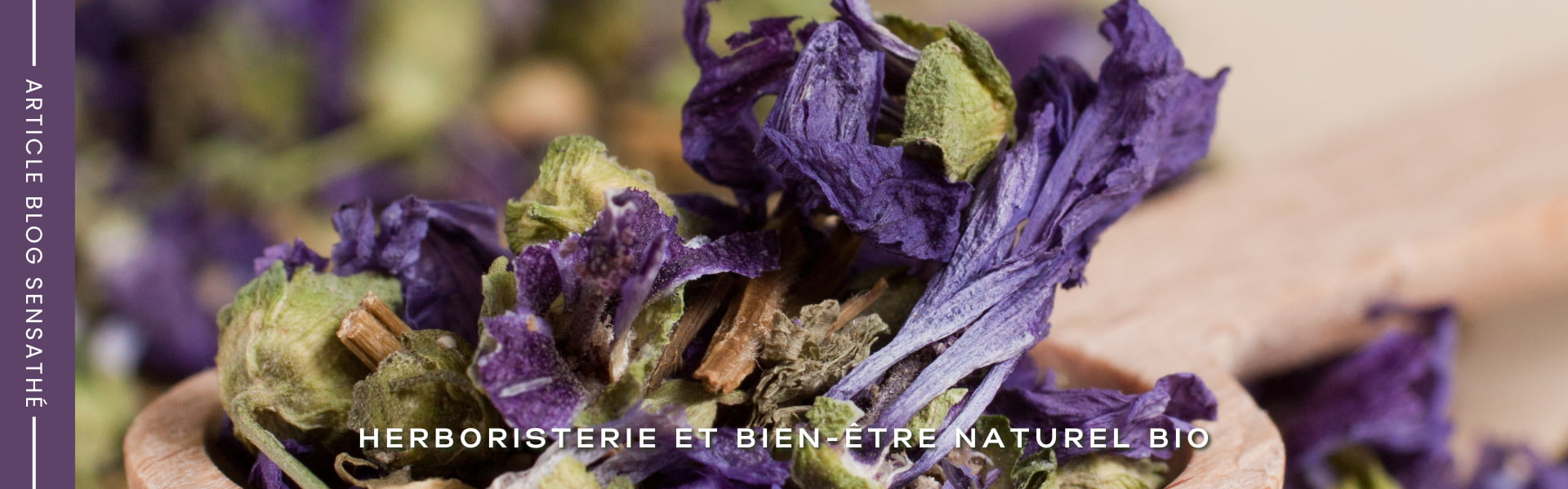 Tisane laxative de mauve Bio - Herboristerie Sensathé